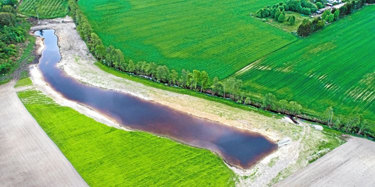 ATL TV: Solenergi fyller våtmarken