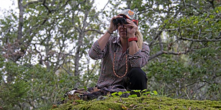 På spaning efter hjort