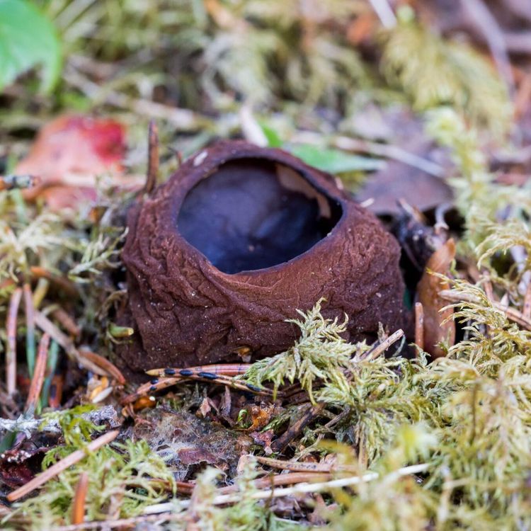 Myndigheten måste beakta all relevant praxis