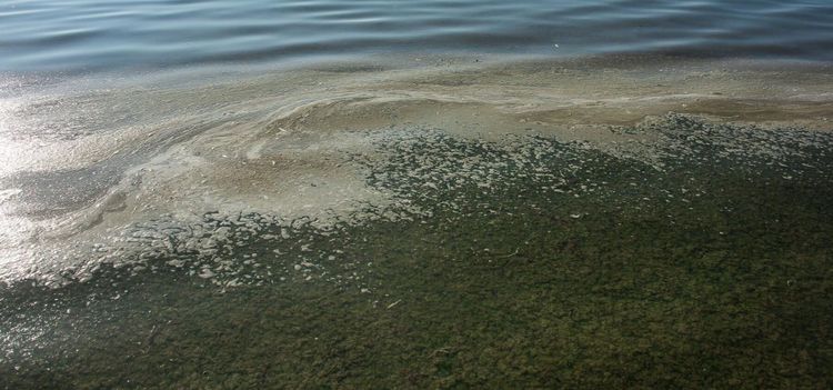 Nya åtgärder mot övergödning ska utredas