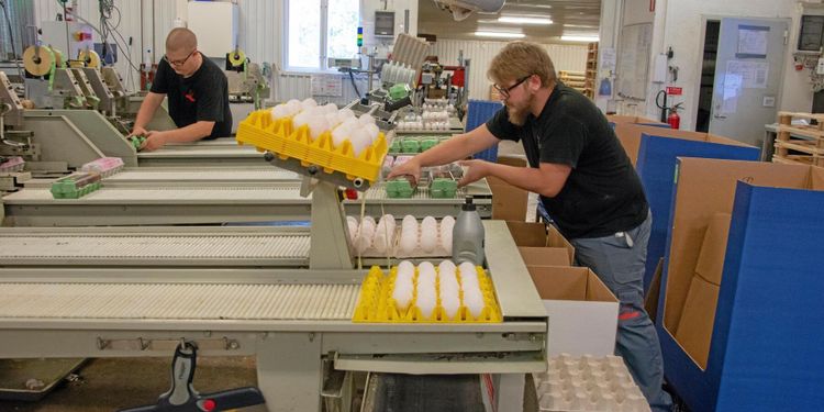 ”Straffskatt” drabbar Gotlands lantbrukare