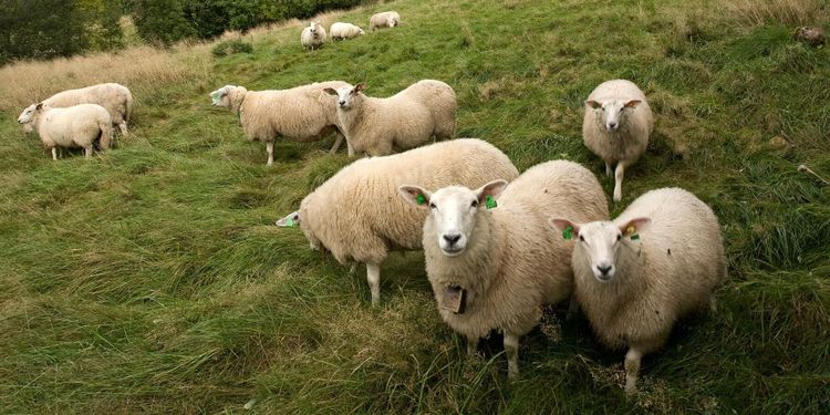 "Vi vill att staten ska ta sitt ansvar"