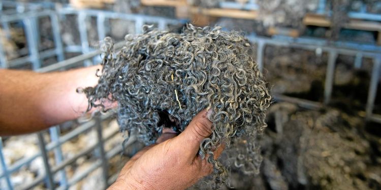 Mindre ull hamnar på sopberget