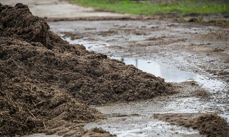 Övergödningen högsta prioritet för Östersjöministrar