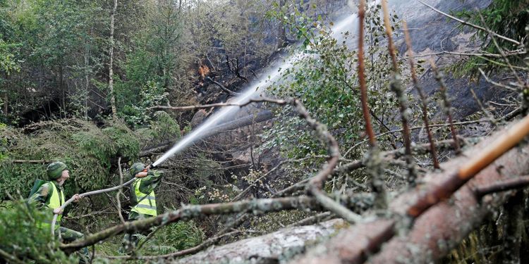 Sveaskog höjer utdelningen till staten