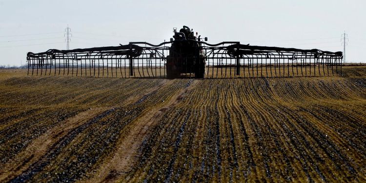 Underskott av fosfor i många fält