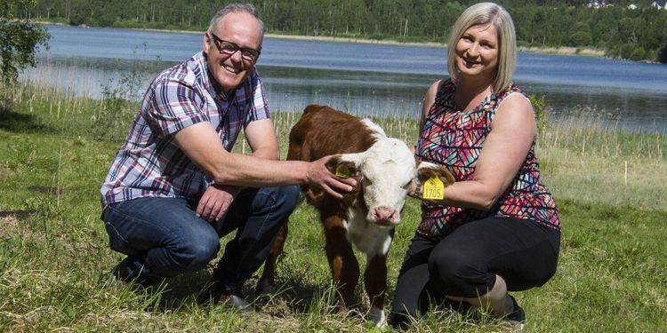 Så blev köttlådor en succé för familjen Eriksson