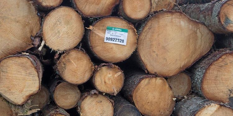 Södra höjer virkespriserna