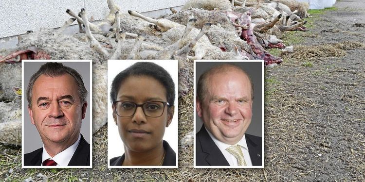 Bucht beklagar att Molstaberg lägger ned