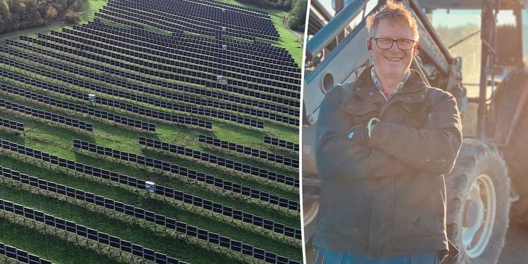 Nytt system kombinerar solel med odling