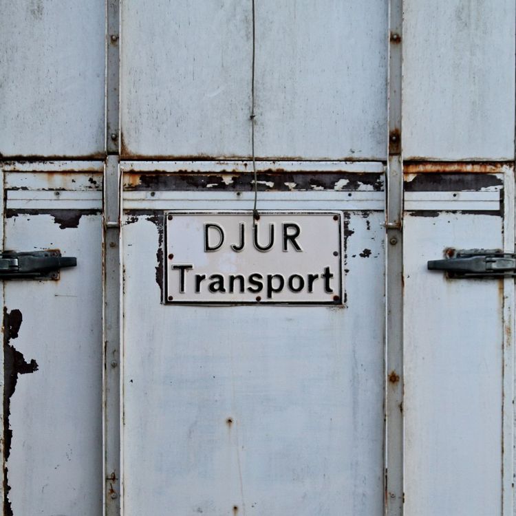 Häst tog sig ut under färd på E4:an