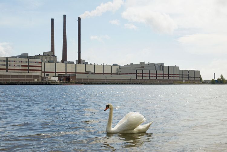 Ortvikens pappersbruk i Sundsvall är en av SCA:s anläggningar.