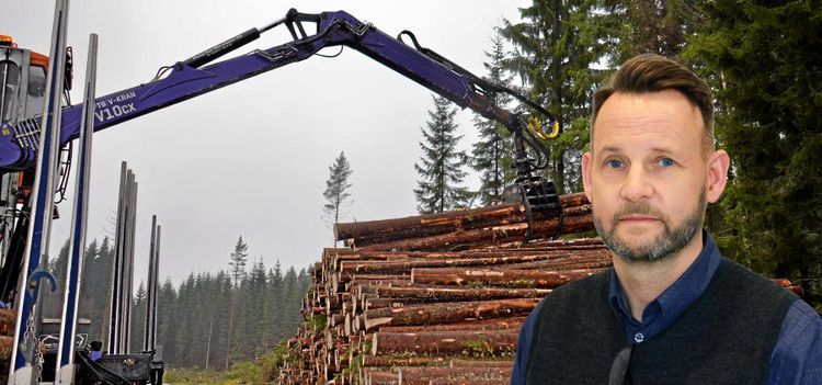 Valutan slår mot enskilda skogsägare