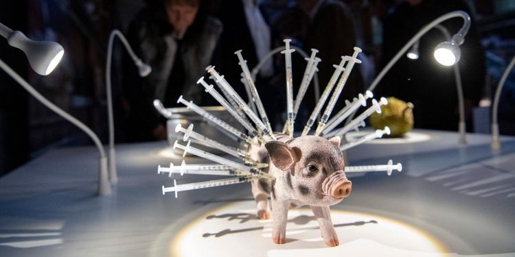 Europa måste bekämpa antibiotikaresistensen