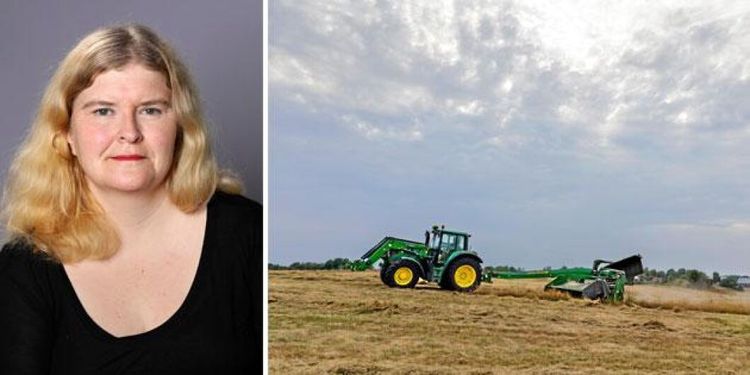 Torkan som tog över valet