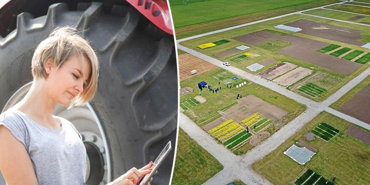 Digitala alternativ till Borgeby och Brunnby