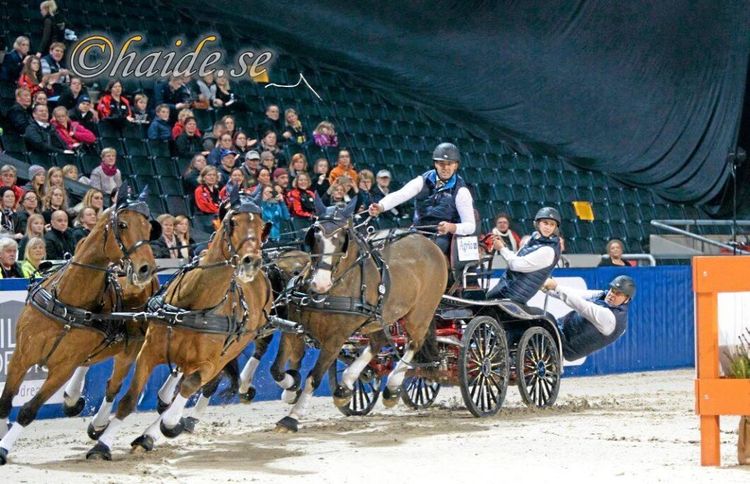 Hästfest drar i gång i veckan