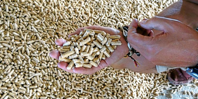 Större efterfrågan på pellets