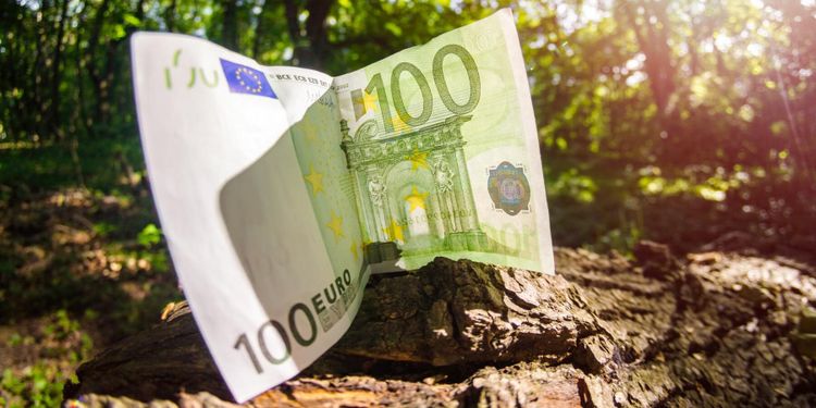 Svajig valutamarknad drabbar skogsindustrin