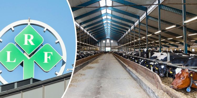 Vad är målet med LRF:s strategi?