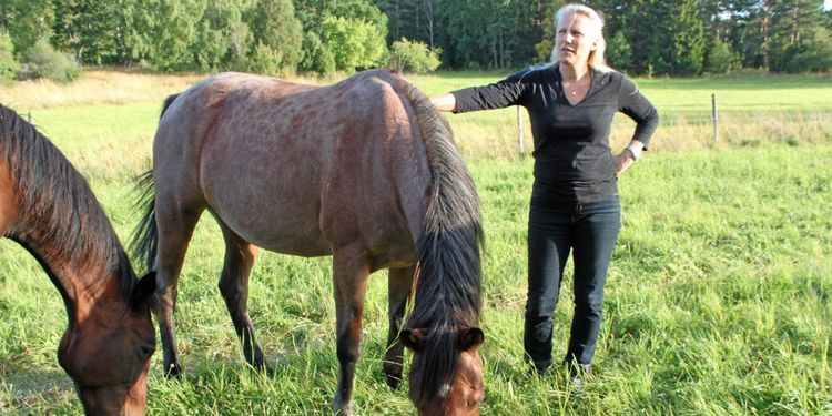 Så maxar du ditt vinterbete – på sommaren