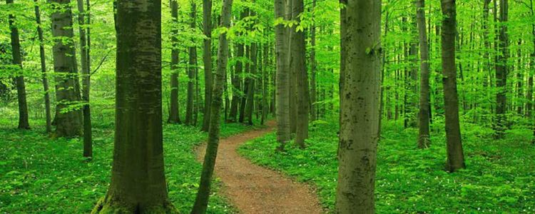 Mäklarfirma expanderar