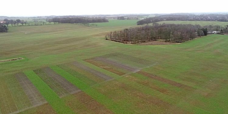 ATL TV: Här skapas kunskap om mellangrödor