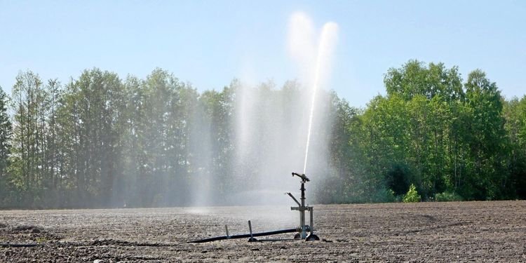 Bevattningsförbud redan i april: ”Oroväckande”