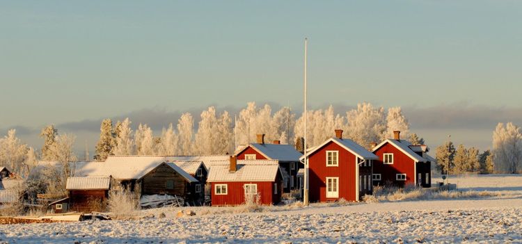 Lösning för landsbygden börjar hos myndigheterna