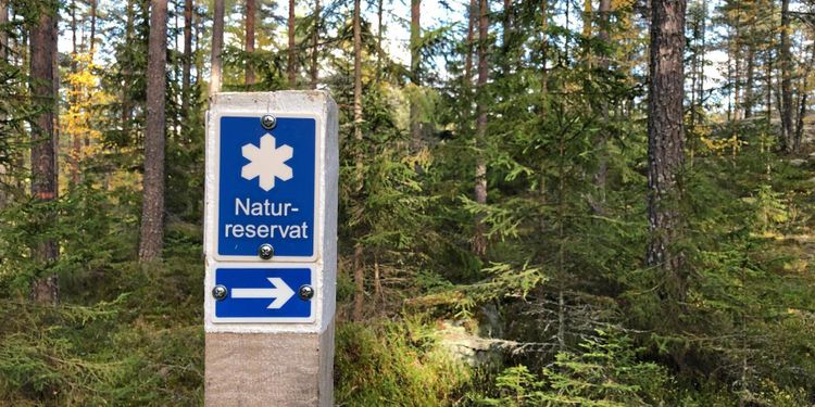 Södra får böter för avverkning i naturreservat
