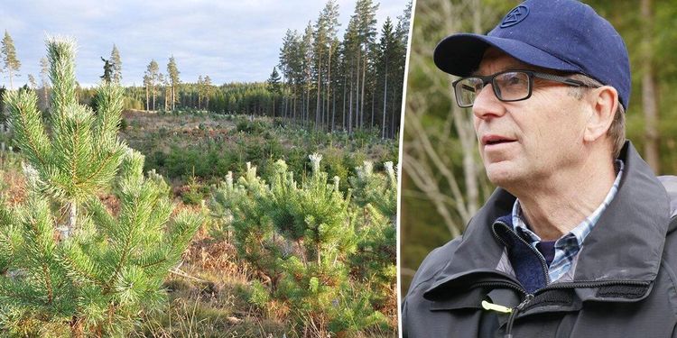 Försäkring eller onödigt dyrt – delad bild om viltbehandling