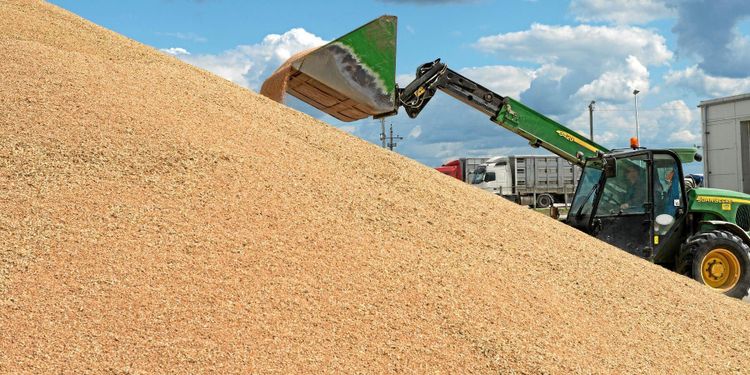 Handelsbankens handel med spannmål kan bli kvar