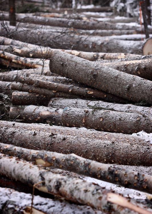 SCA: Bättre resultat än väntat