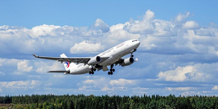 Utredning tror på mer skog i luften