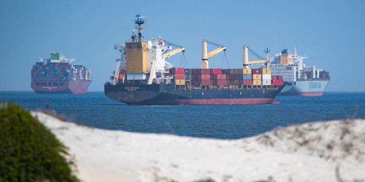 ”Ställ Rumänien inför EU-domstolen för djurkatastrofen”