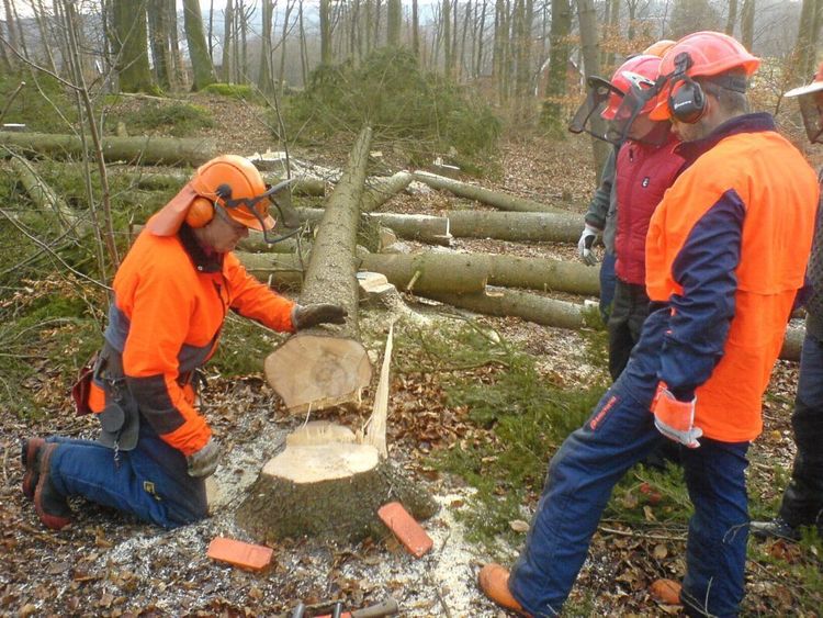 Manuell fällning måste bli säkrare