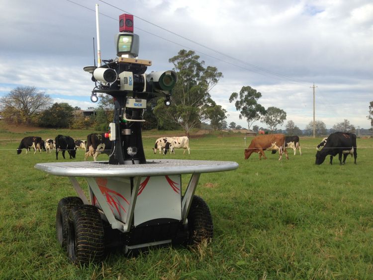 Den här roboten för att övervaka och valla boskap, har utvecklats av Australian Centre for Field Robotics, University of Sidney.