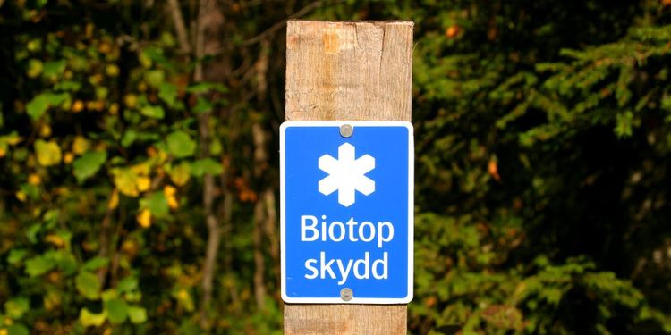 Svårt att få svar om skyddad skog