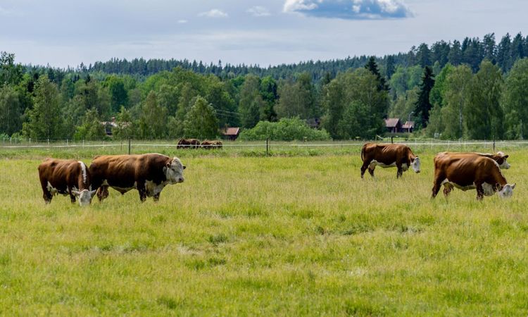 Så löser du semesterplaneringen