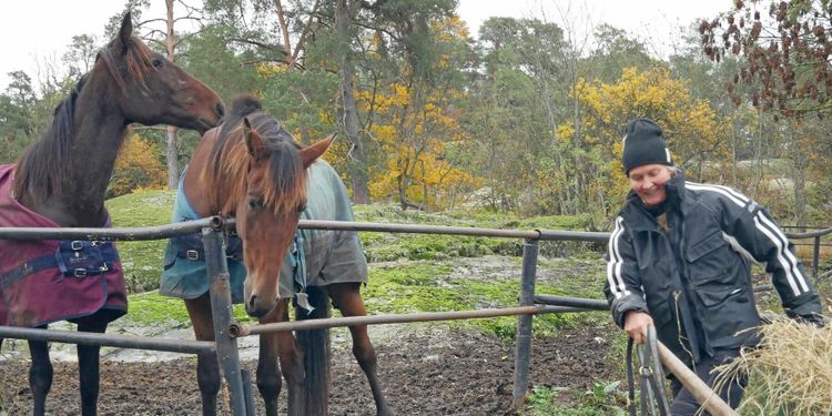 Trappar upp för att kunna trappa ner