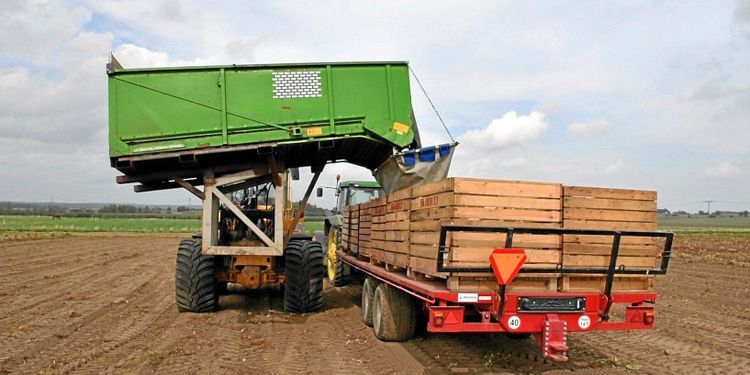 Smart hemmabygge underlättar potatisskörden