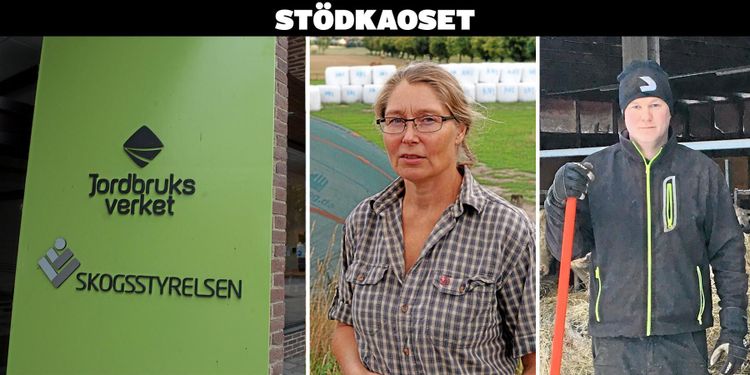 Stödkaoset tvingar bönder ta banklån: ”En katastrof”