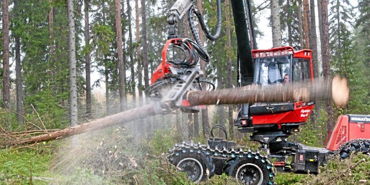Borrarna ger ökad avverkning i Värmland