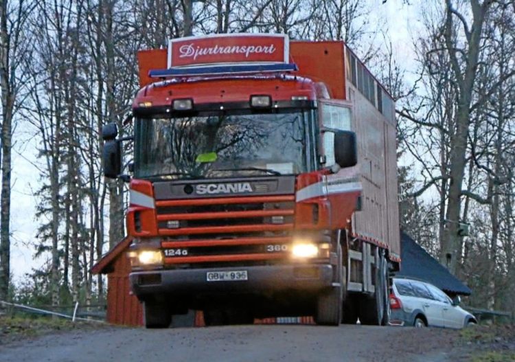 Alla skyller på alla i turerna om Djurambulansen