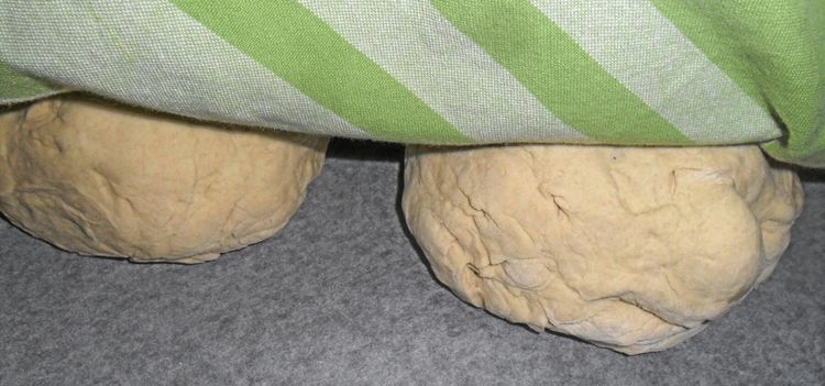 Gmo kan ge glutenfritt vete