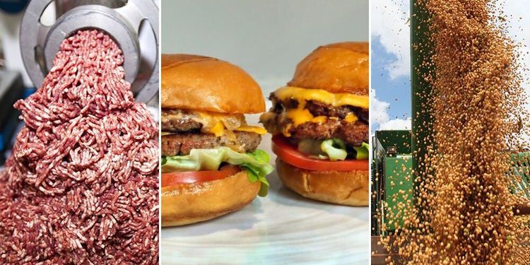 Gröna burgare ökar – på börsen och grillen