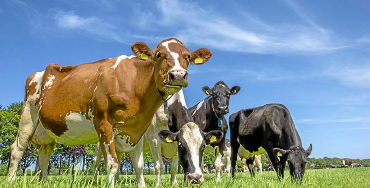 Hög tid att återvända till ett hållbart liv