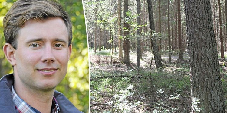 ”För dåliga planer vid skogsförsäljningar”