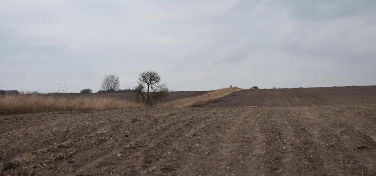 1 200 bostäder på brukad åkermark