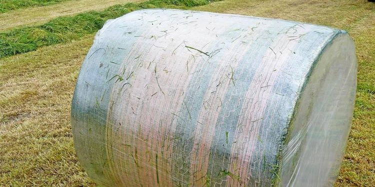 Genomskinlig balplast ska ge bättre foderhantering